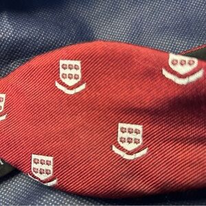 Elegant Burgundy Patterned Ben Silver Men's Tie